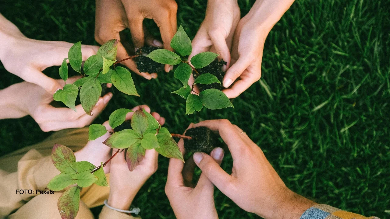 Criterios ASG avanzan en México y Centroamérica, pero falta madurez