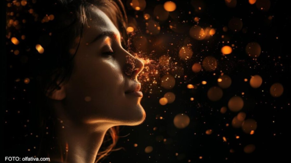 ¿Qué es el marketing olfativo y cómo puede beneficiar tu marca?