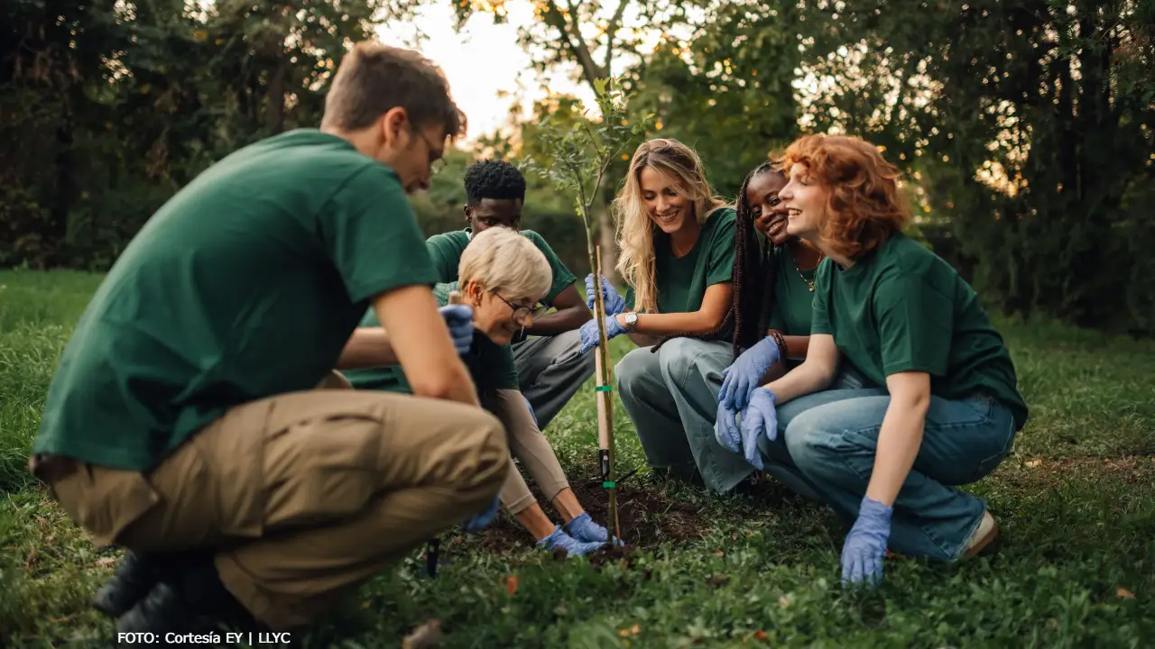 ¿Qué es EHS y por qué está atrayendo inversiones en América Latina?