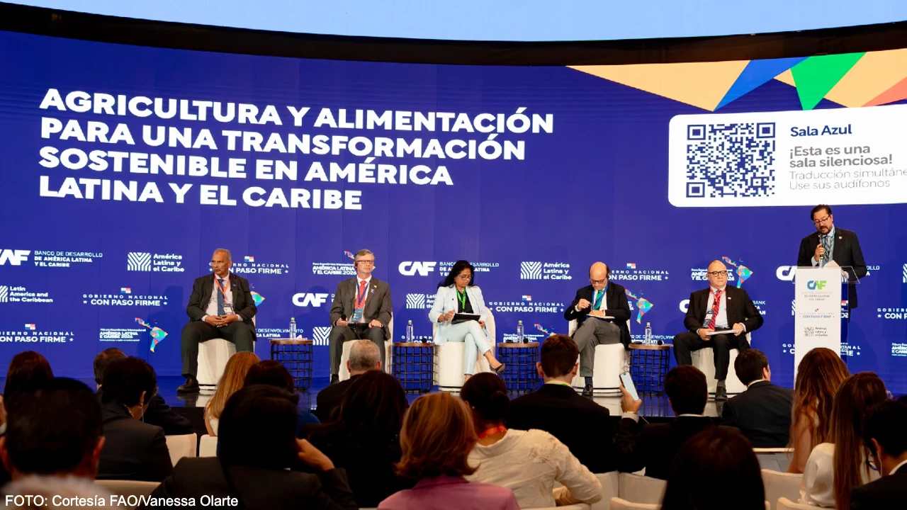 Soluciones financieras innovadoras:  eje clave para el desarrollo rural