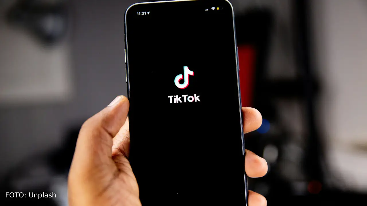 Auditing Platform Content Moderation: así vigilan a TikTok
