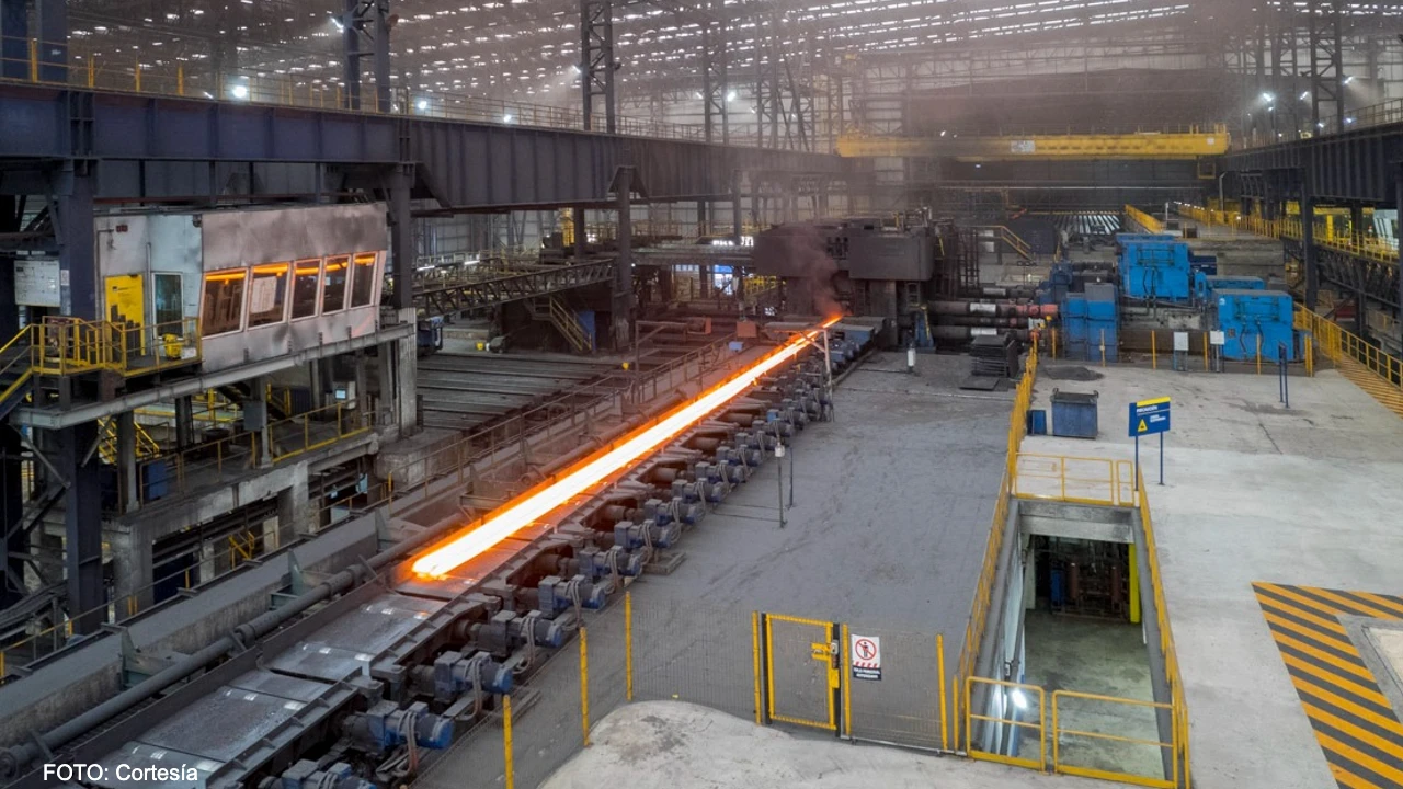 Impacto positivo: la sostenibilidad como motor de cambio