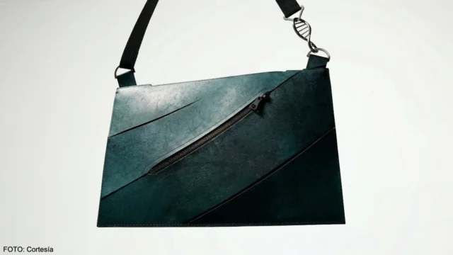 Crean el primer bolso de lujo hecho con T-Rex Leather