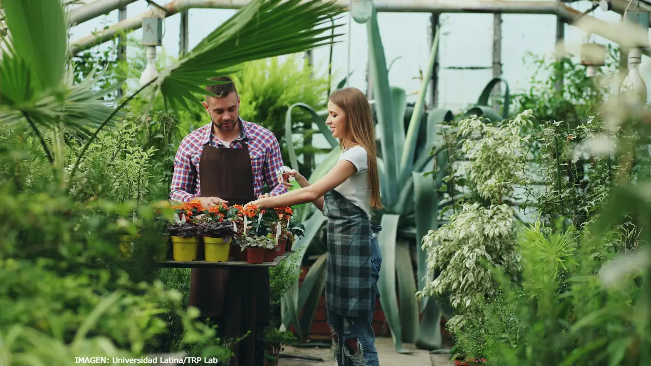 El turismo es un referente del empleo verde en Costa Rica