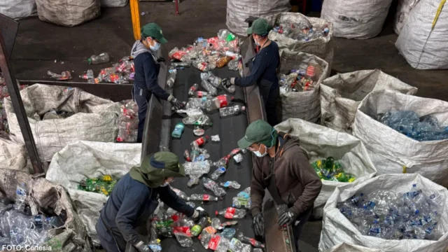 FEMSA impulsa el reciclaje al recolectar más de 123 mil toneladas de PET