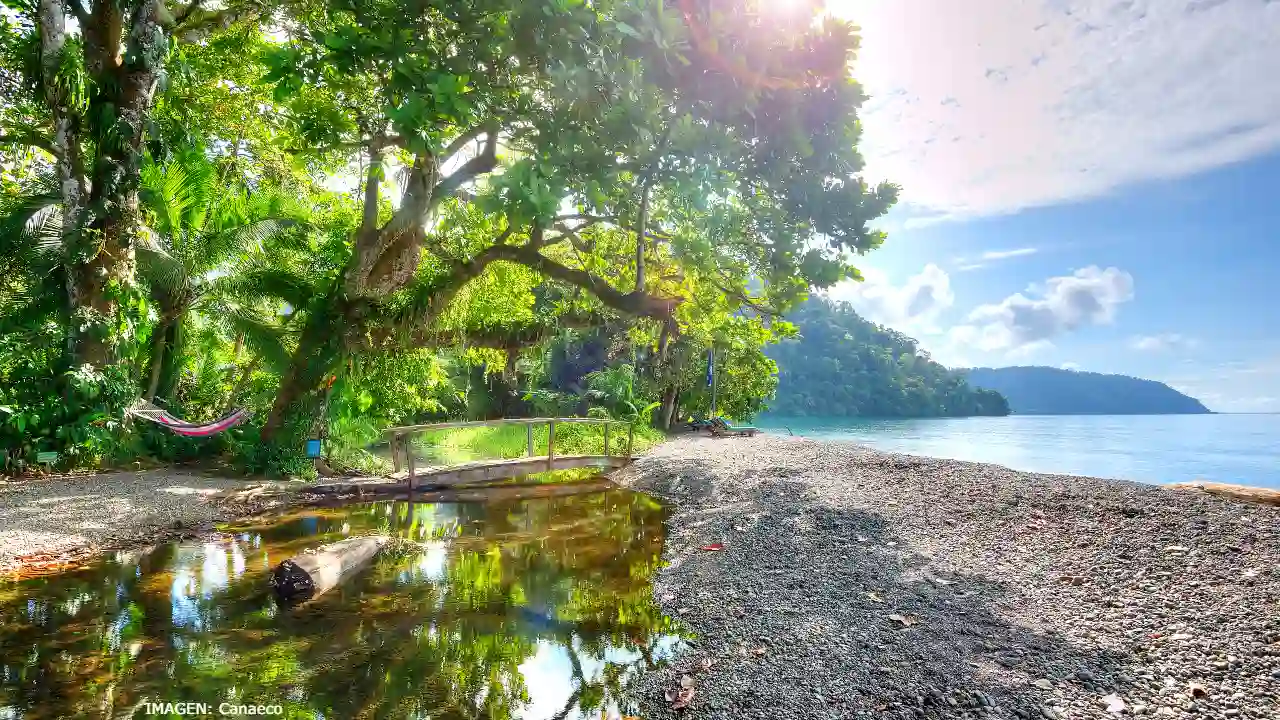 El turismo sostenible en Costa Rica debe evolucionar hacia un modelo que vaya más allá de la promoción tradicional y evite prácticas como el greenwashing.