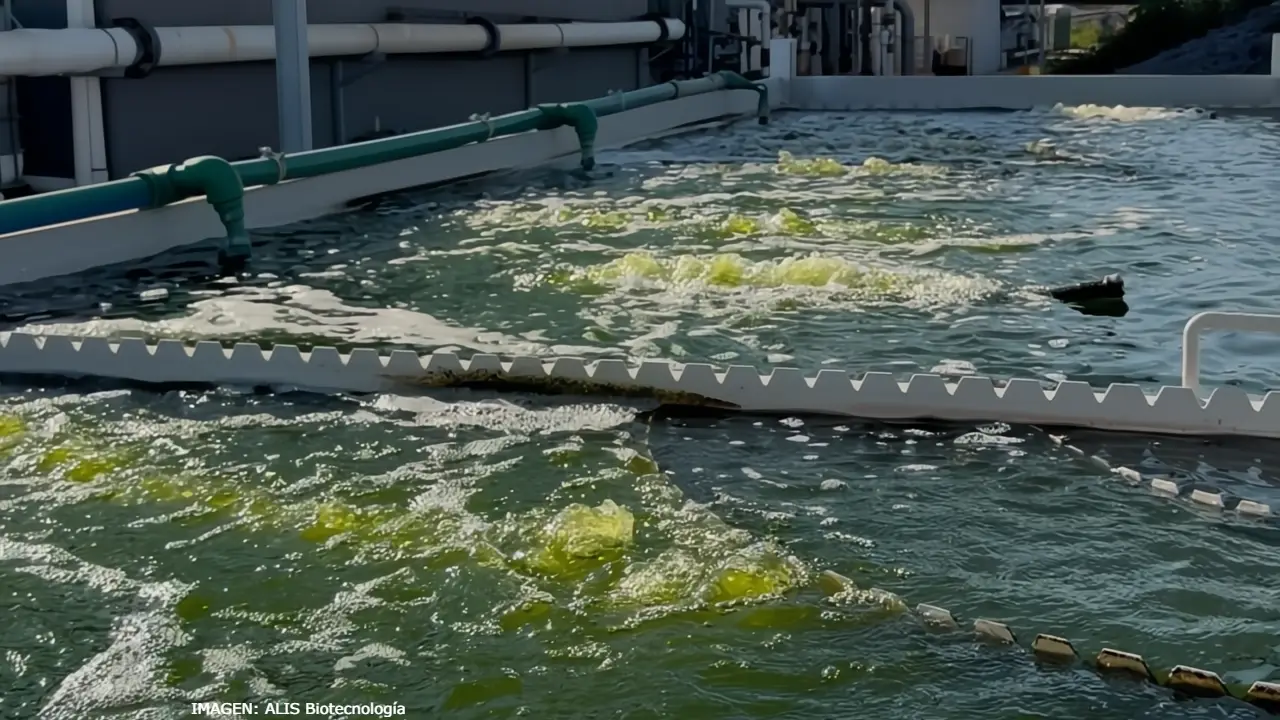 ALIS Biotecnología trata las aguas residuales industriales con microalgas