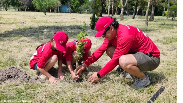 Nissan impulsa la reforestación en México