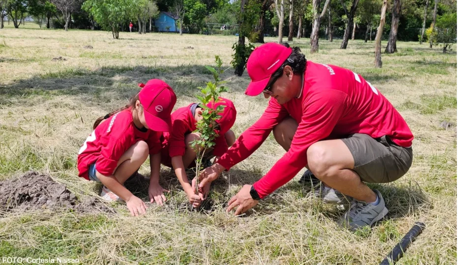 Nissan impulsa la reforestación en México