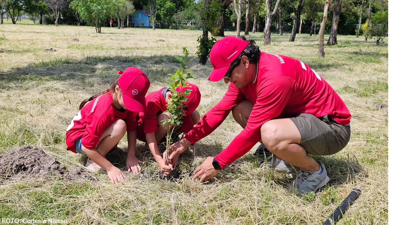 Nissan impulsa la reforestación en México