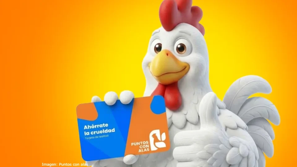 Puntos con alas, un programa de lealtad para el bienestar animal